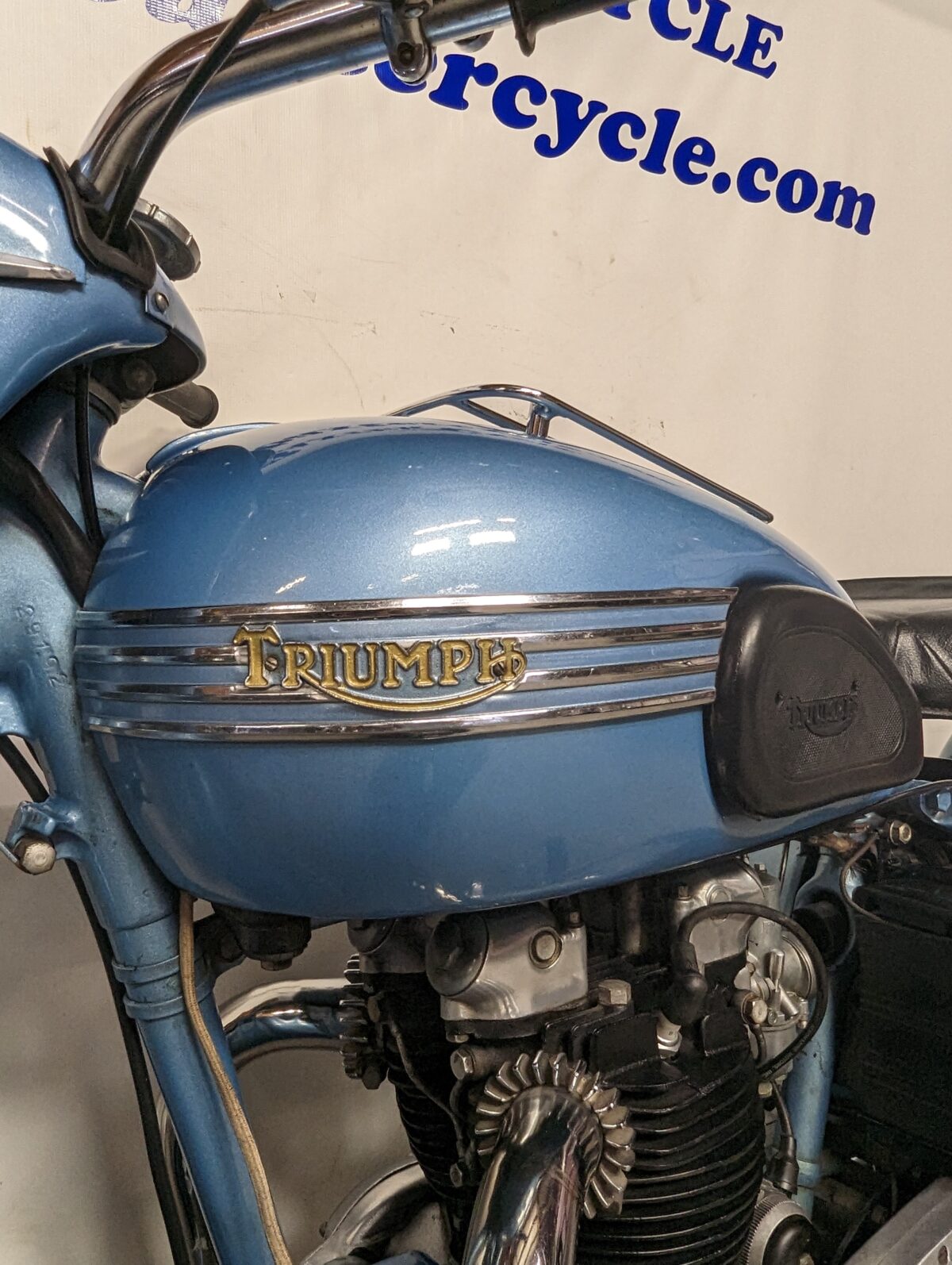 1952 Triumph 6T Thunderbird – Baxter Cycle